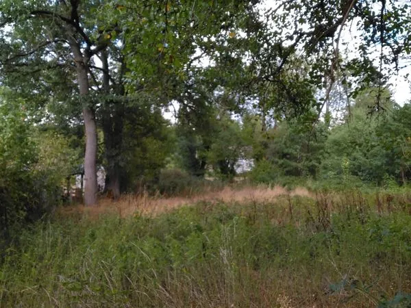 Terrain plat constructible 3600m2