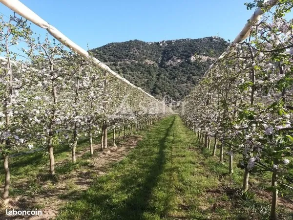 Terrain 42420 m² Prades
