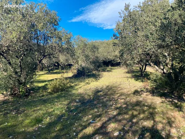 Terrains à Bâtir