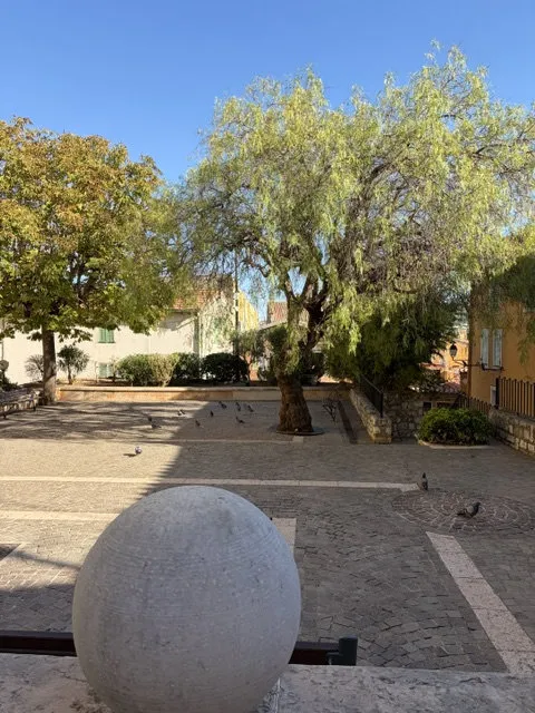 Photo 3