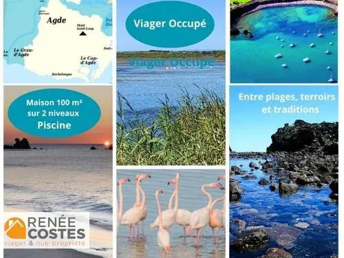 Viager 4 pièces 100 m²