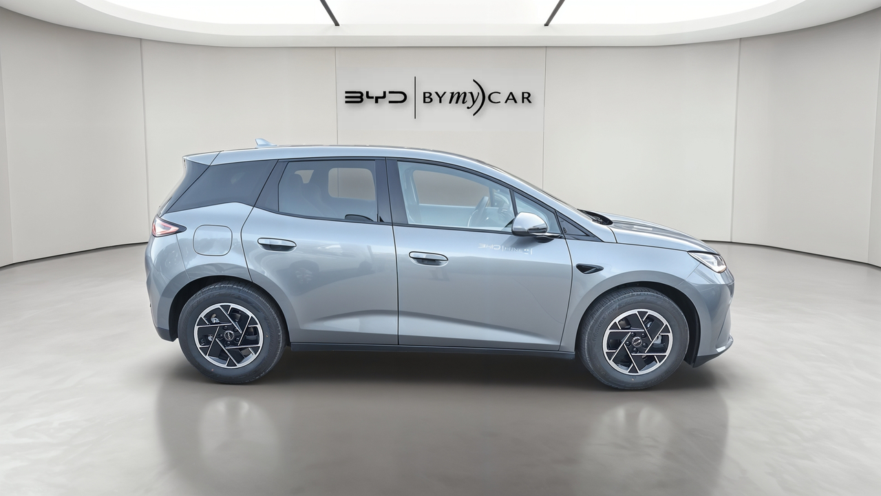 BYD Dolphin G 1.5 DM-i PHEV 212 ch — photo 6