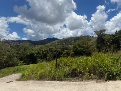 Terrain constructible de 575 m² aux Trois-Îlets - Emplacement recherché