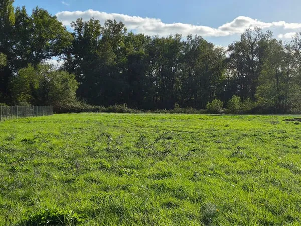 Terrain 1885 m²