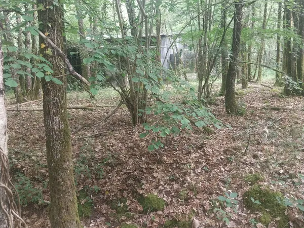 Terrain 3878 m²