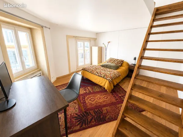 Appartement duplex - hypercentre Saint-Etienne