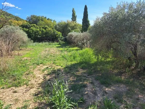 Terrain 1015 m²