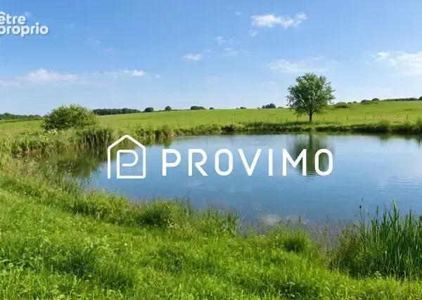 Terrain 5 000 m² à vendre à Marchiennes (59870)