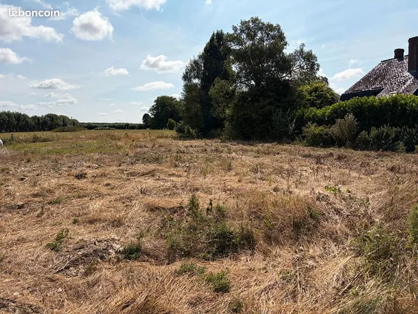 Terrain 1014 m² AMFREVILLE ST AMAND