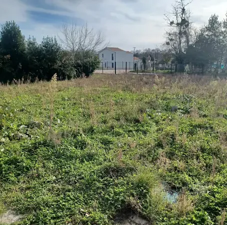 Maison neuve 3 pièces 74 m²