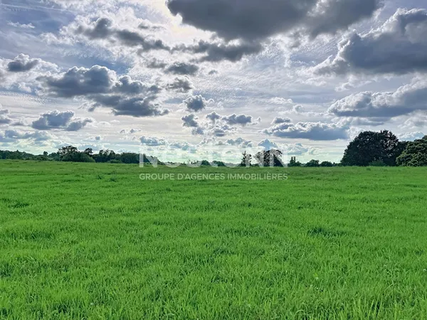 Terrain à vendre de 2 045 m² à Sadroc - Vue dégagée sur la campagne