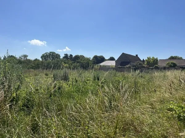 Terrain 1000 m²