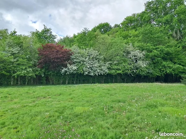 Terrain 950 m² Bouliac
