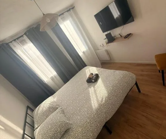 Appartement de 35m2 à louer sur Toulouse