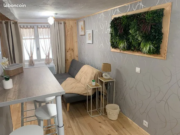 Appartement centre-ville, BARCELONNETTE, classe énergie : C , meublé ensoleillé