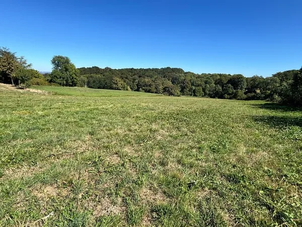 Terrain 7461 m²