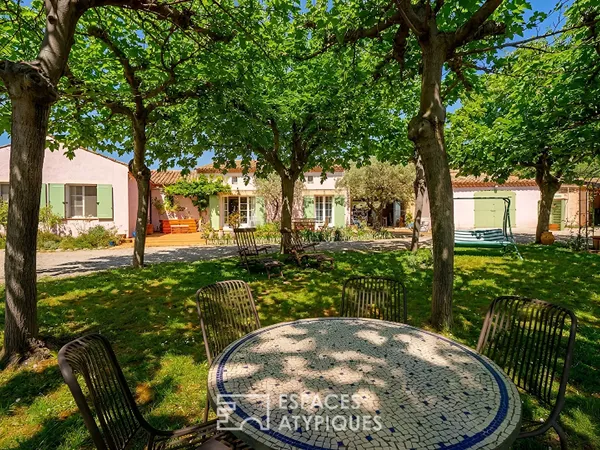 Villa néo-provençale et son oliveraie dans le Haut-Var