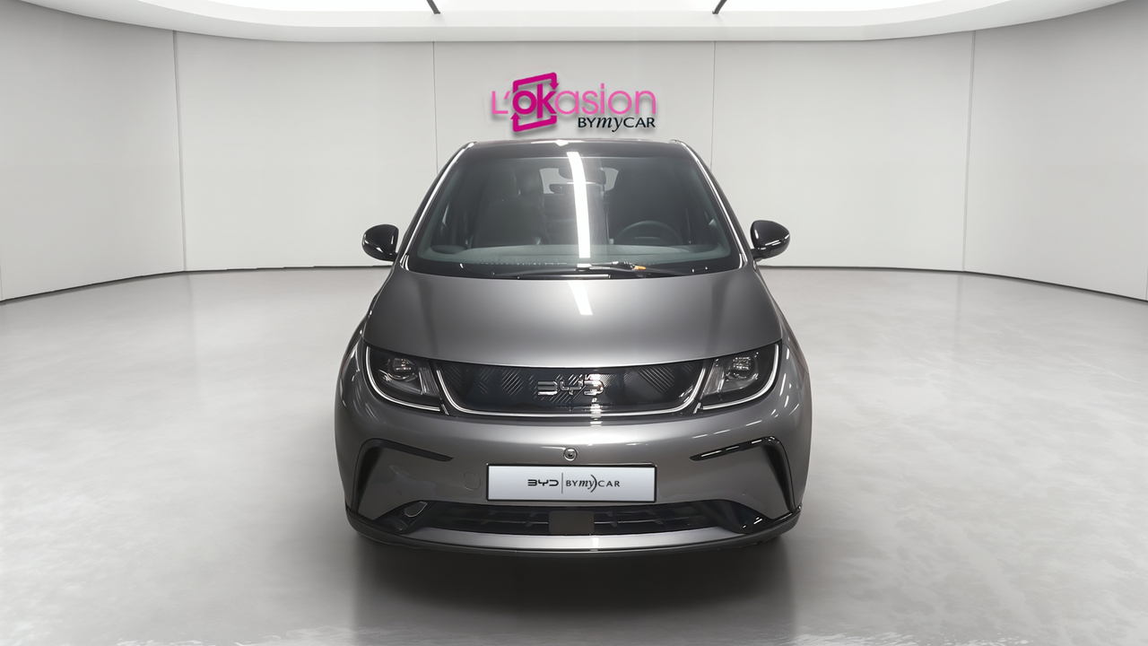 BYD Dolphin 60,4 kWh 204 ch — photo 8