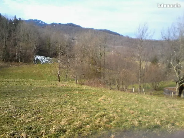 Terrain viabilisé