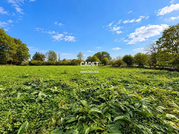 Terrain 3250 m²
