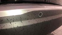 Peugeot 2008 1.2 Hybrid 110ch Edition e-DCS6 — photo 21