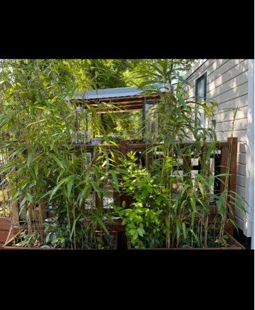 Mobile home
