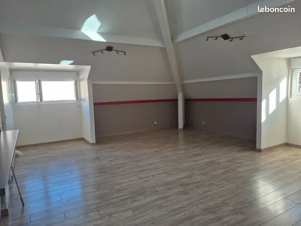 Appartement loft 110m² (81.53m² Loi Carrez)