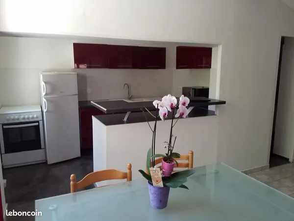 Appartement de 53 m2 + tersasse de 25 m2 entièrement meublé. Idéal colocation. Climatisé