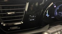 Lexus Nx 350h Executive 4WD MY24 — photo 25