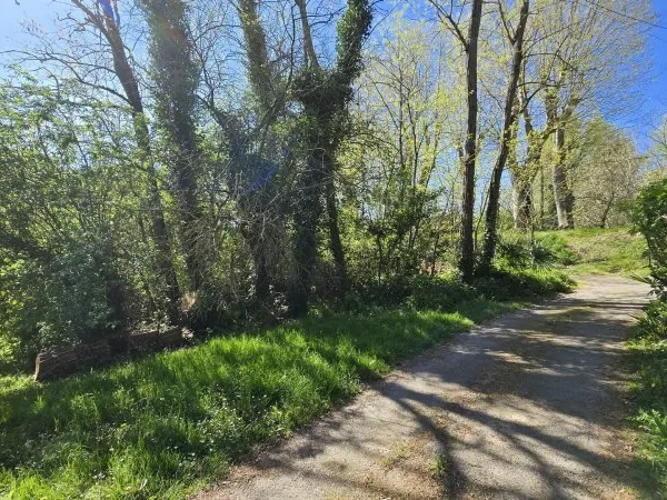 Terrain à bâtir Vente Mazères  620m² 22000€