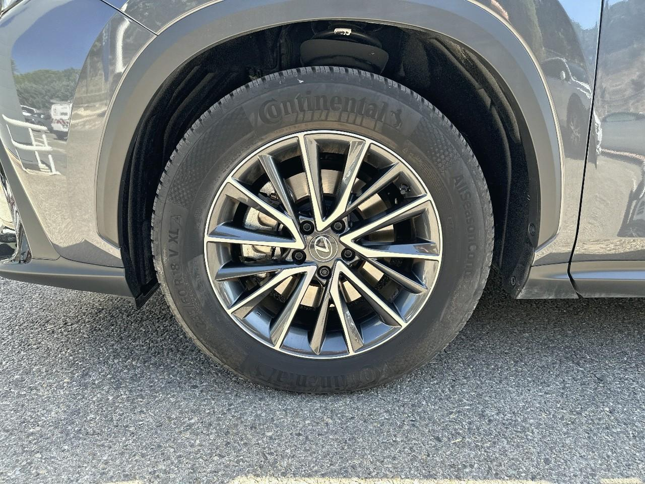 Lexus Nx 350h luxe 2wd my25 — photo 11