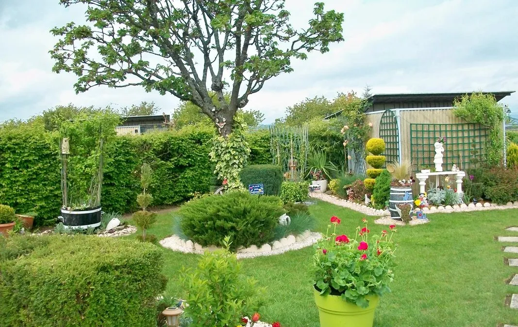 Photo 1