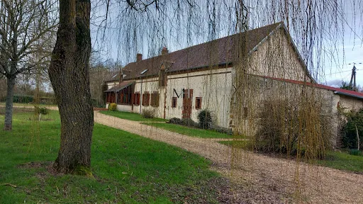 Photo 14