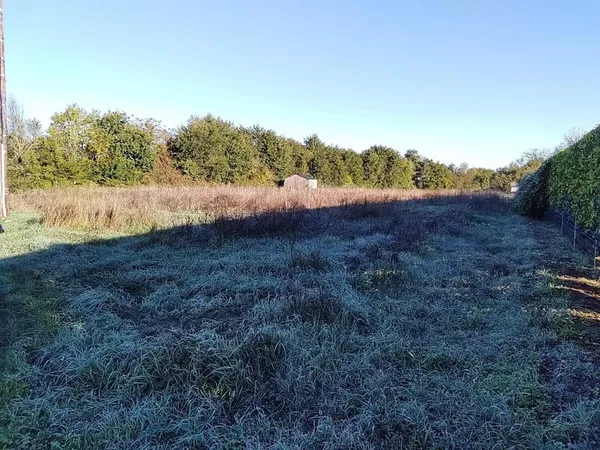 Beau terrain plat à la campagne