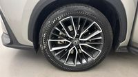 Lexus Nx 350h Executive 4WD MY24 — photo 20