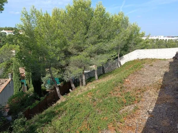 Terrain 452 m²