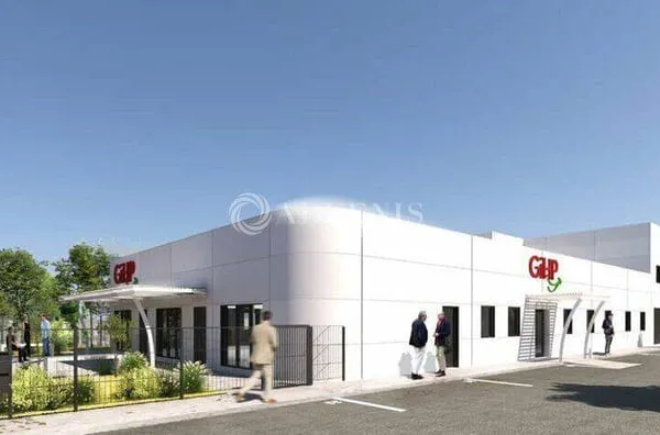 Bureau 385 m²