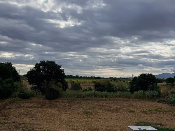 Location terrain pour animaux
