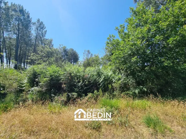 Terrain 13065 m²
