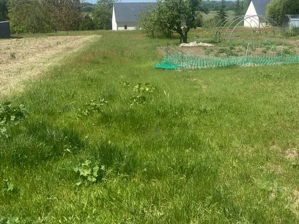 Terrain constructible 1785 m2 dont 250 m2de chemin d accès