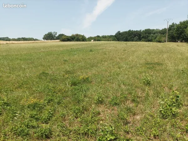 Terrain agricole