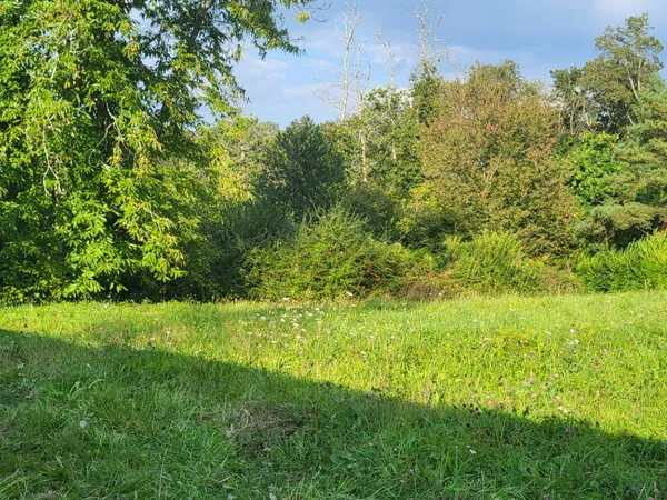 Terrain Sautron 920 m2