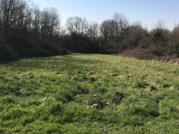 Terrain 659 m²