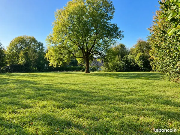 À vendre - Terrain de 4 660 m² à Vigneux-Hocquet (02340)