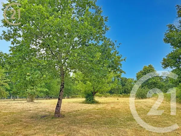 Terrain 3853 m²