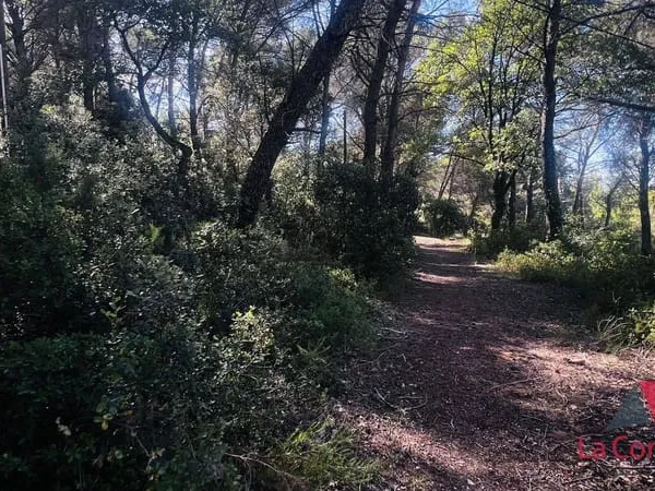 Terrain 2990 m²