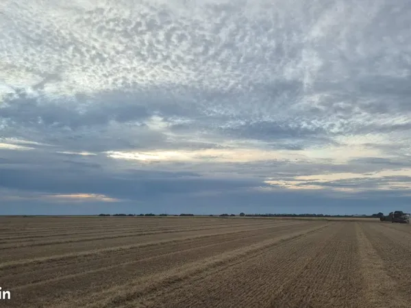Fermes céréales 98 ha
