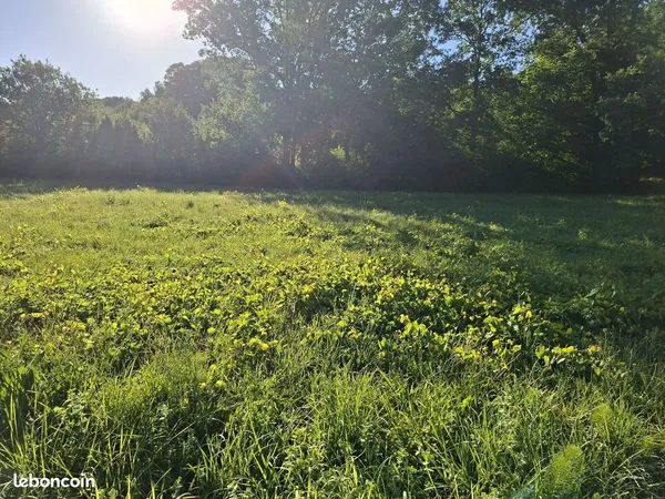 Terrain à bâtir de 1500 m² à MENESPLET (24)