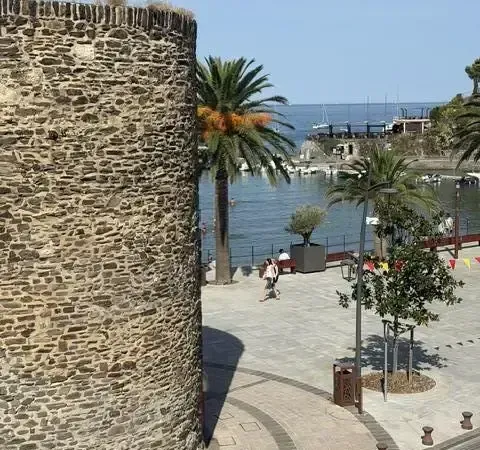 Vue sur la baie de Collioure