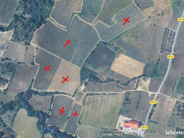 Parcelles de Vigne BIO